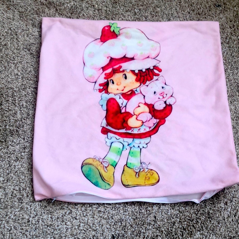 Pillow case 22 by 22